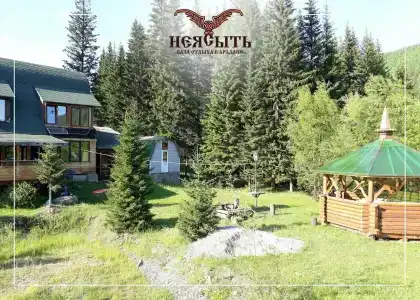 Неясыть - 10