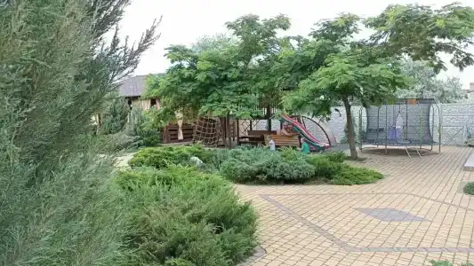 Тиритака - 25