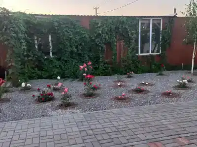 Релакс в Новом - 16