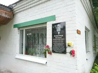 Санаторий им. А.П. Бородина - 10