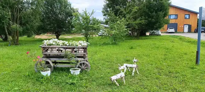 ЯсноПоле - 35