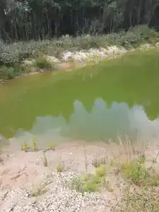 Фестиваль-Парк - 56