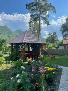 Усадьба у Гришаевых - 2