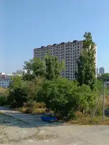 Морис - 23