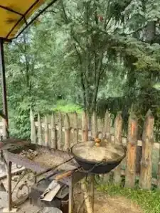 У Борисыча - 88