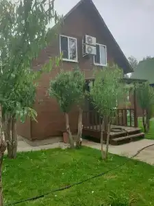 Мечта - 15