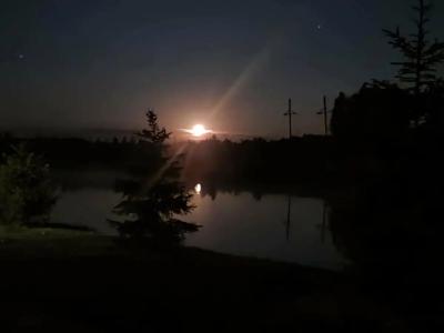 Николаевские Пруды - 38