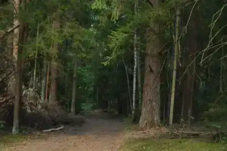 Железинка - 2