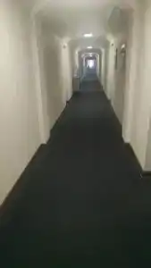 Горизонт - 84