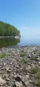 Шумиха - 14