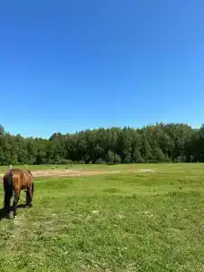 Бородино - 25