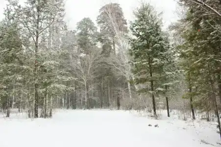 Гренада - 26
