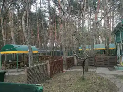 Горняк - 10