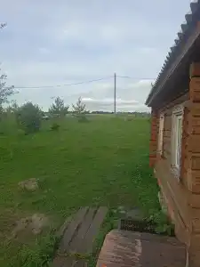 Золотая рыбка - 65