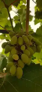 Морское Небо - 81