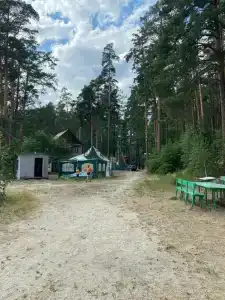 Золотые пески - 46