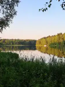 Чайка - 8