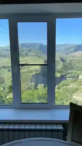 Пение птиц - 81