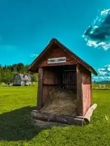 Александровский спас - 24