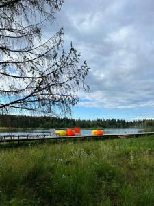 Заповедник - 54