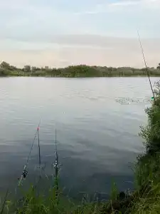 Бодрость - 25