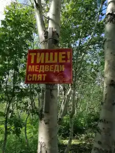 Пансионат Светлячок - 64