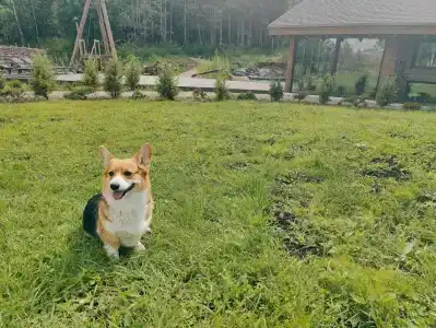 МайнДорф - Батаково - 65