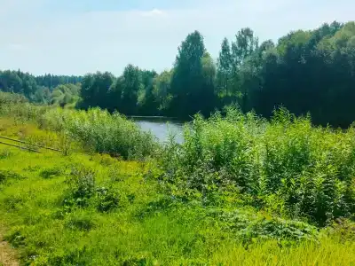 Великорецкое Ковчег - 40