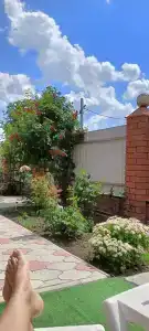 Русалочка - 23