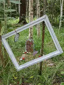 Вгости - 12