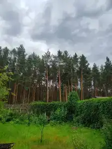 Сарин - 4