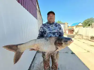 Сазаний угол - 36