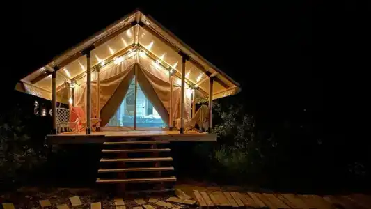 Заповедник - 20