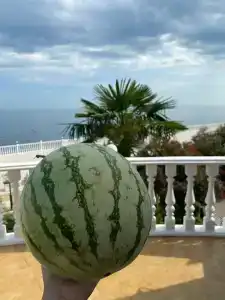 Ирей - 69