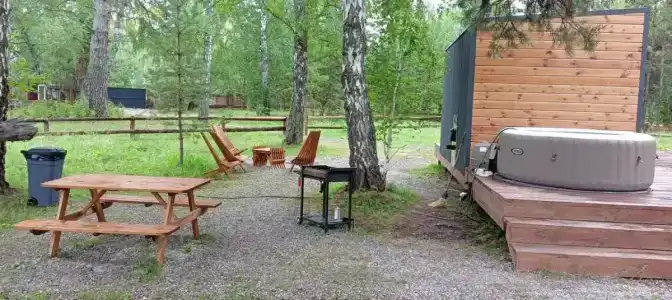 Ветер в соснах - 17