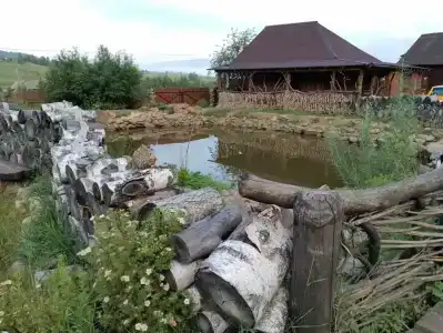 Тайга - 22