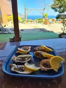 Кемпинг на высоте - 47