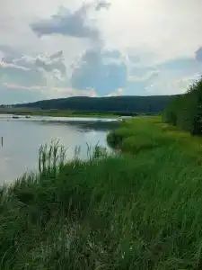 Зеленый Мыс - 23