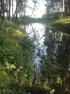 Бобровая заимка - 2