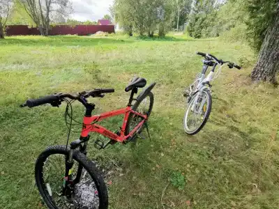 Хвойный Лес - 60