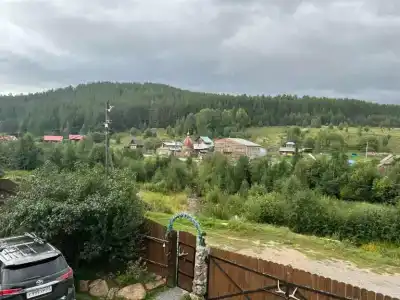Тайга - 39