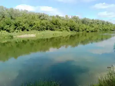 Простоквашино - 31