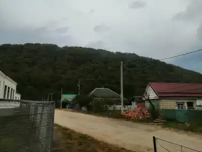 Софья - 10