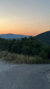 Эколоджия - 40