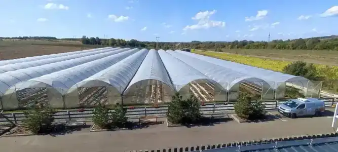 Гектария - 37