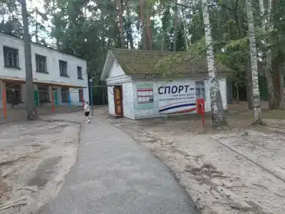 Сосновый бор - 0
