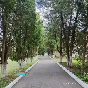Центральный Детский санаторий - 16