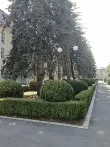 Санаторий им. С.М. Кирова - 43