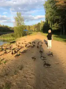 Красный Бор - 35