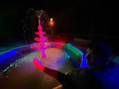 Лесные дали - 2